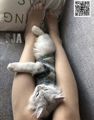 像雾像雨又像风电视剧